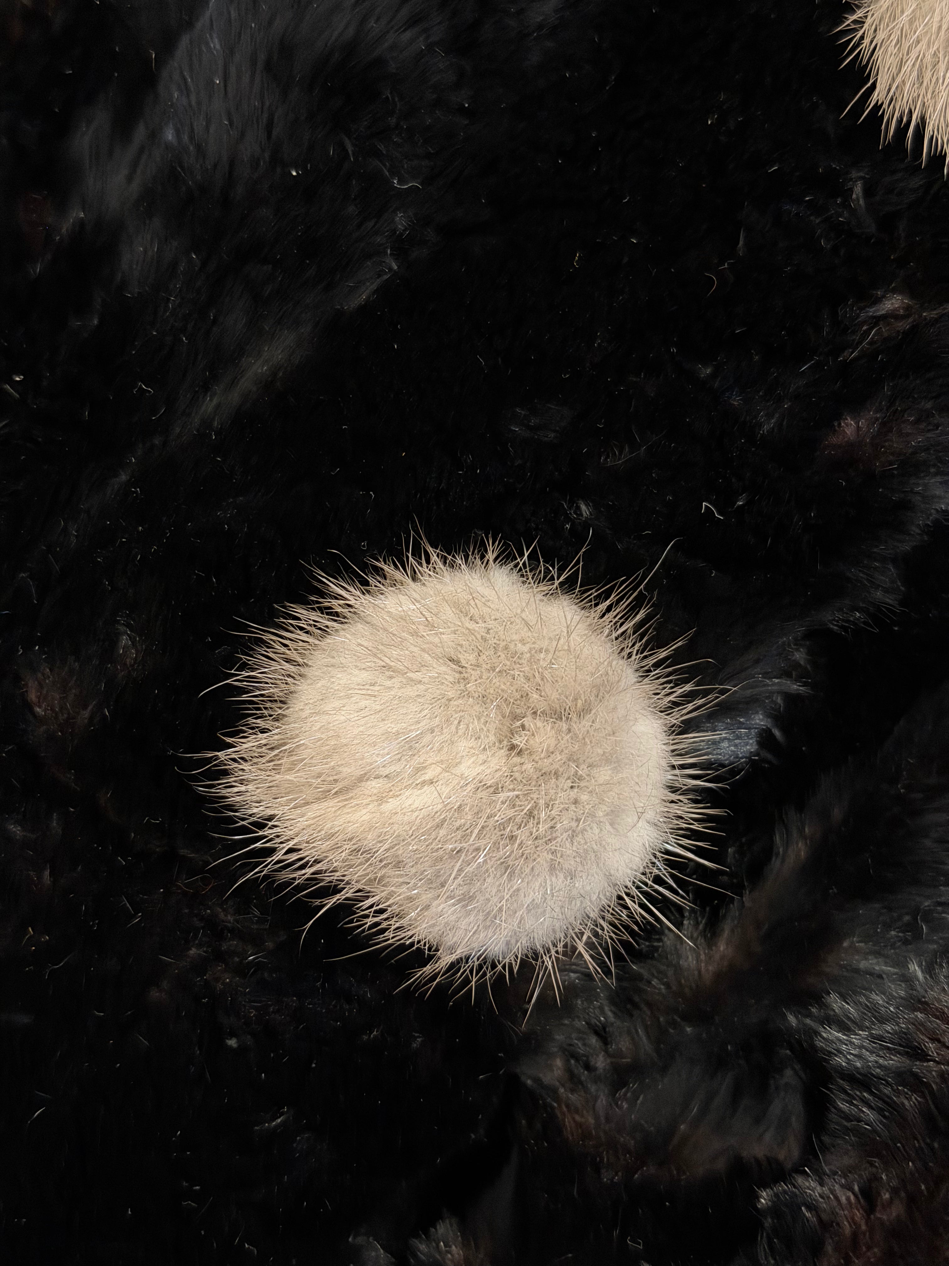 Vintage Brechette Furs Black Faux-Fur Coat with Contrast Collar